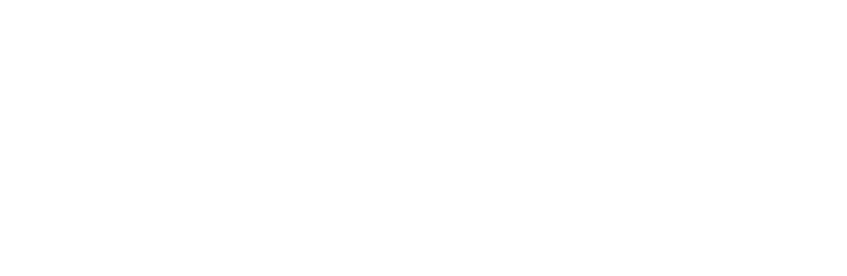 Phoenix Plastech